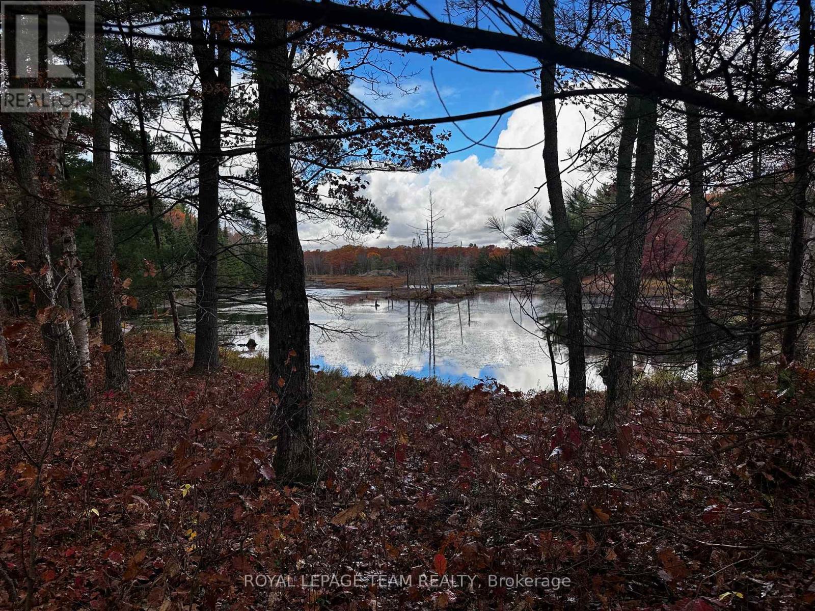 Lot 14 & E 1/2 13 Concession 11 Darling, Lanark Highlands, Ontario  K0A 1P0 - Photo 22 - X12487205