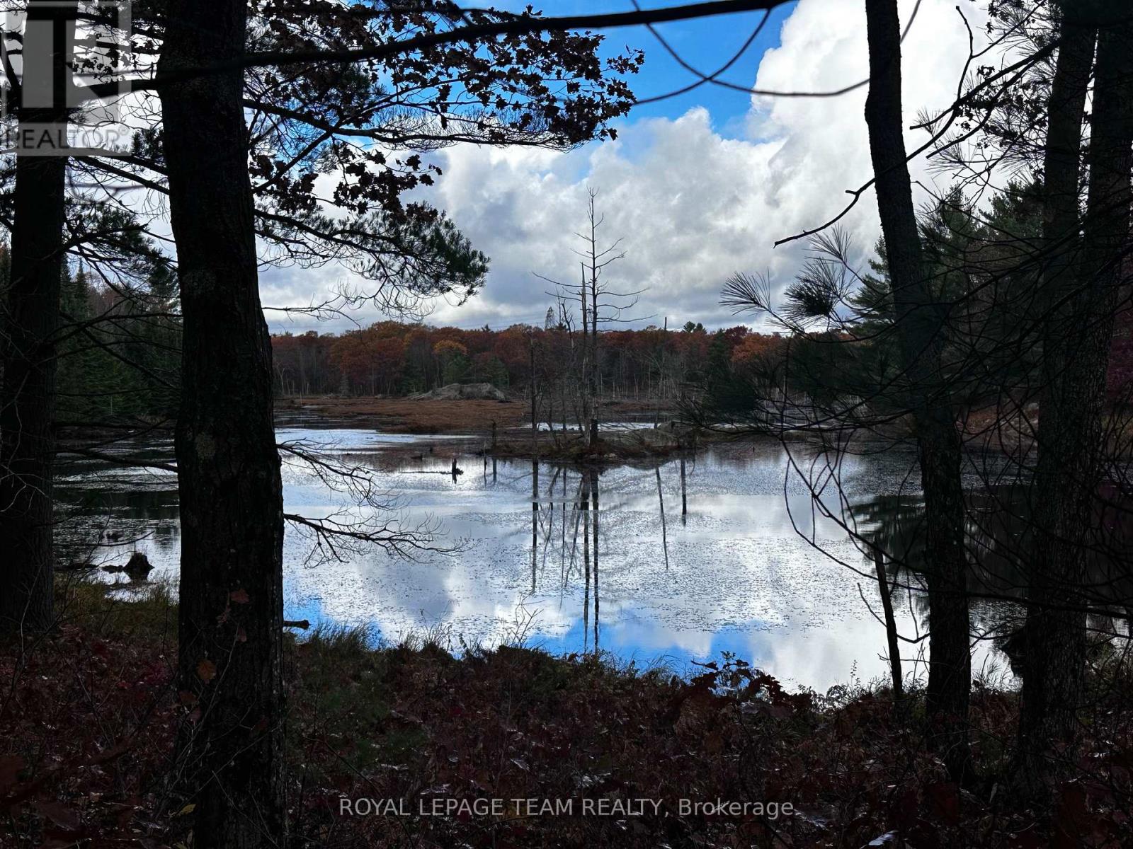 Lot 14 & E 1/2 13 Concession 11 Darling, Lanark Highlands, Ontario  K0A 1P0 - Photo 23 - X12487205