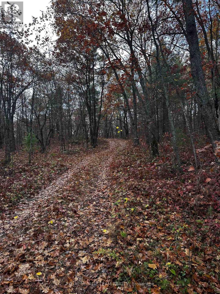 Lot 14 & E 1/2 13 Concession 11 Darling, Lanark Highlands, Ontario  K0A 1P0 - Photo 24 - X12487205