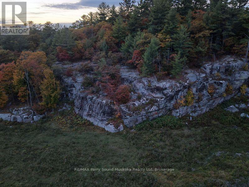 27 Alves Road, Carling, Ontario  P0G 1G0 - Photo 13 - X12487218