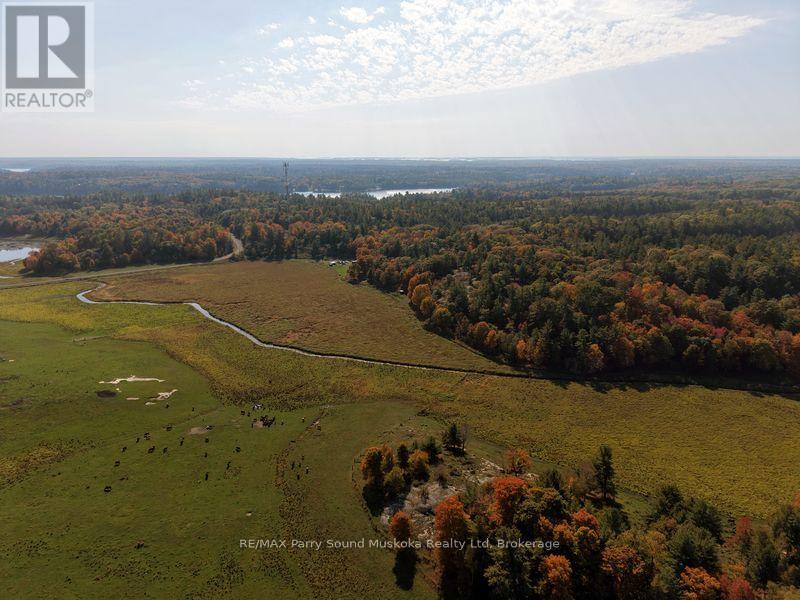 27 Alves Road, Carling, Ontario  P0G 1G0 - Photo 5 - X12487218