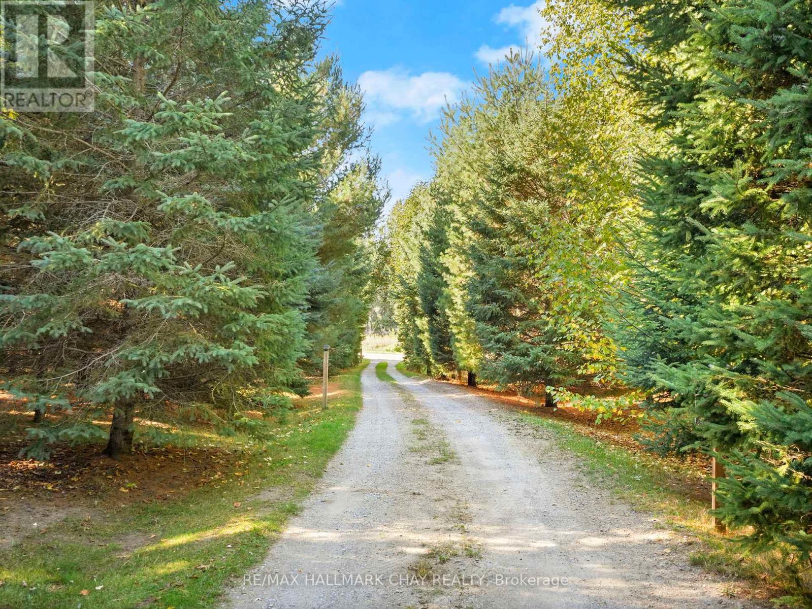 2043 Concession 5 Road, Adjala-Tosorontio, Ontario L0G 1L0 - Photo 3 - N12342210