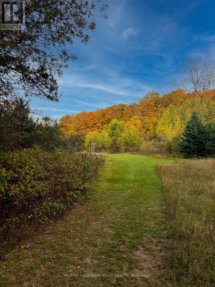 2043 Concession 5 Road, Adjala-Tosorontio, Ontario L0G 1L0 - Photo 6 - N12342210