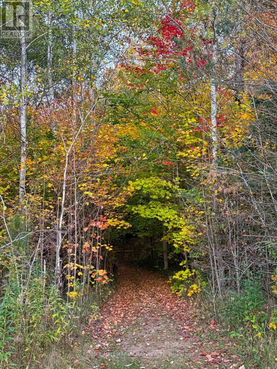 2043 Concession 5 Road, Adjala-Tosorontio, Ontario L0G 1L0 - Photo 45 - N12342210