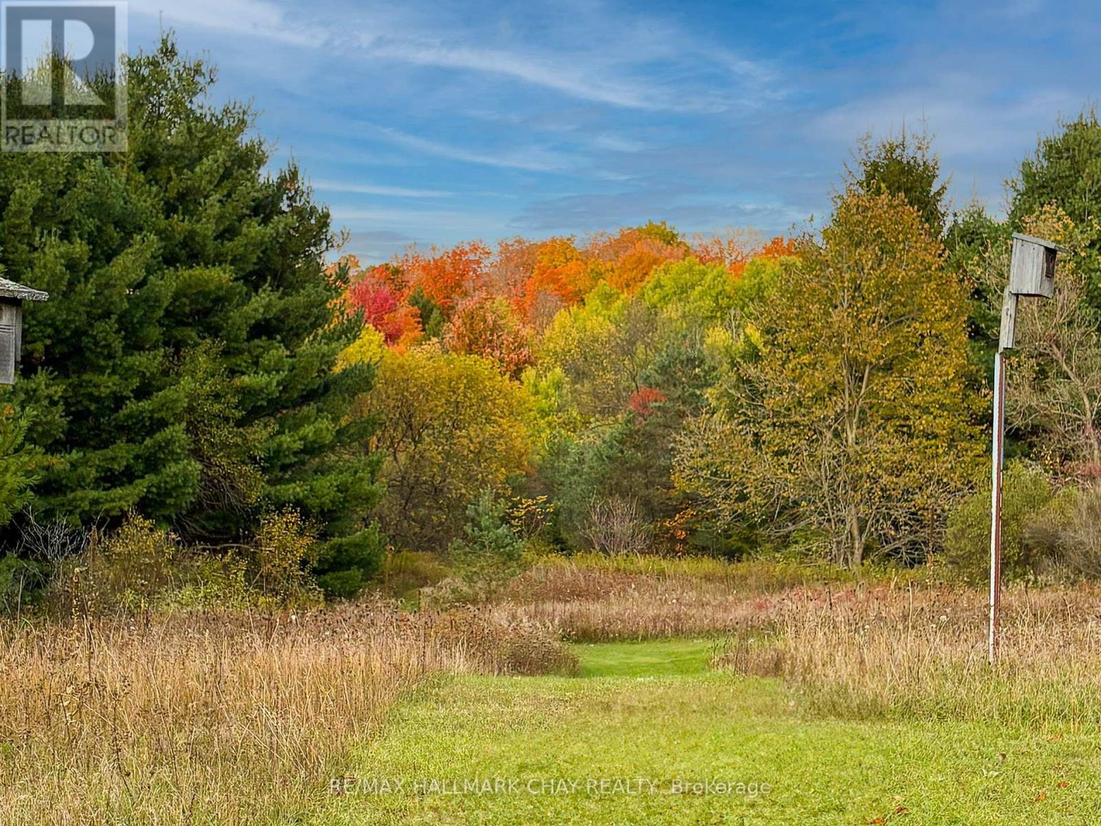 2043 Concession 5 Road, Adjala-Tosorontio, Ontario L0G 1L0 - Photo 4 - N12342210