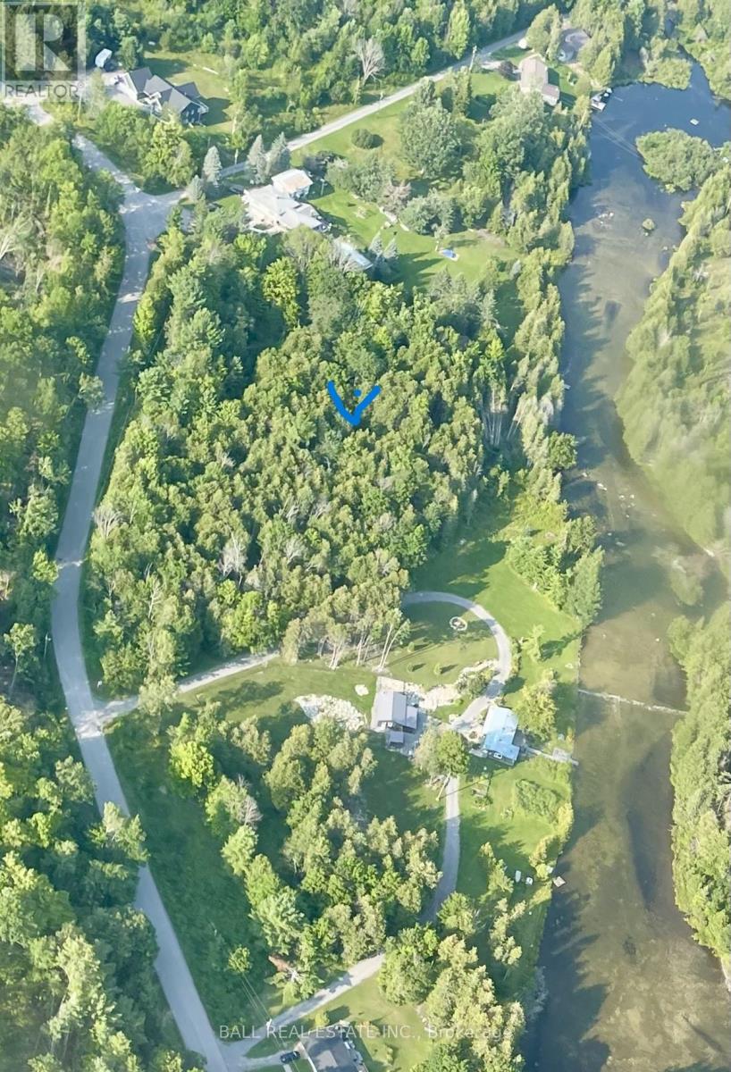 509 Sawmill Road, Douro-Dummer, Ontario  K0L 2H0 - Photo 11 - X12487379