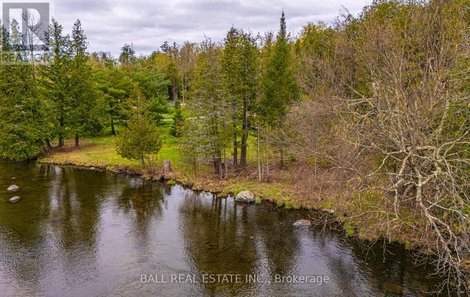 509 Sawmill Road, Douro-Dummer, Ontario  K0L 2H0 - Photo 5 - X12487379