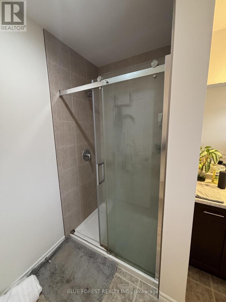 48 - 3399 Castle Rock Place, London South (South W), Ontario  N6L 0C8 - Photo 7 - X12487349