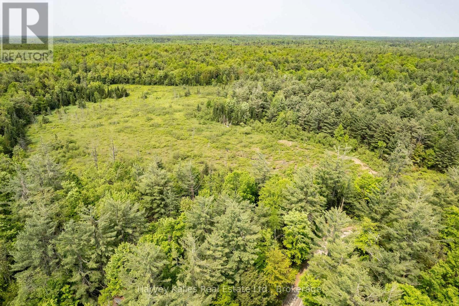 1099 Peterson Road, Bracebridge, Ontario  P1L 1X1 - Photo 3 - X12205588