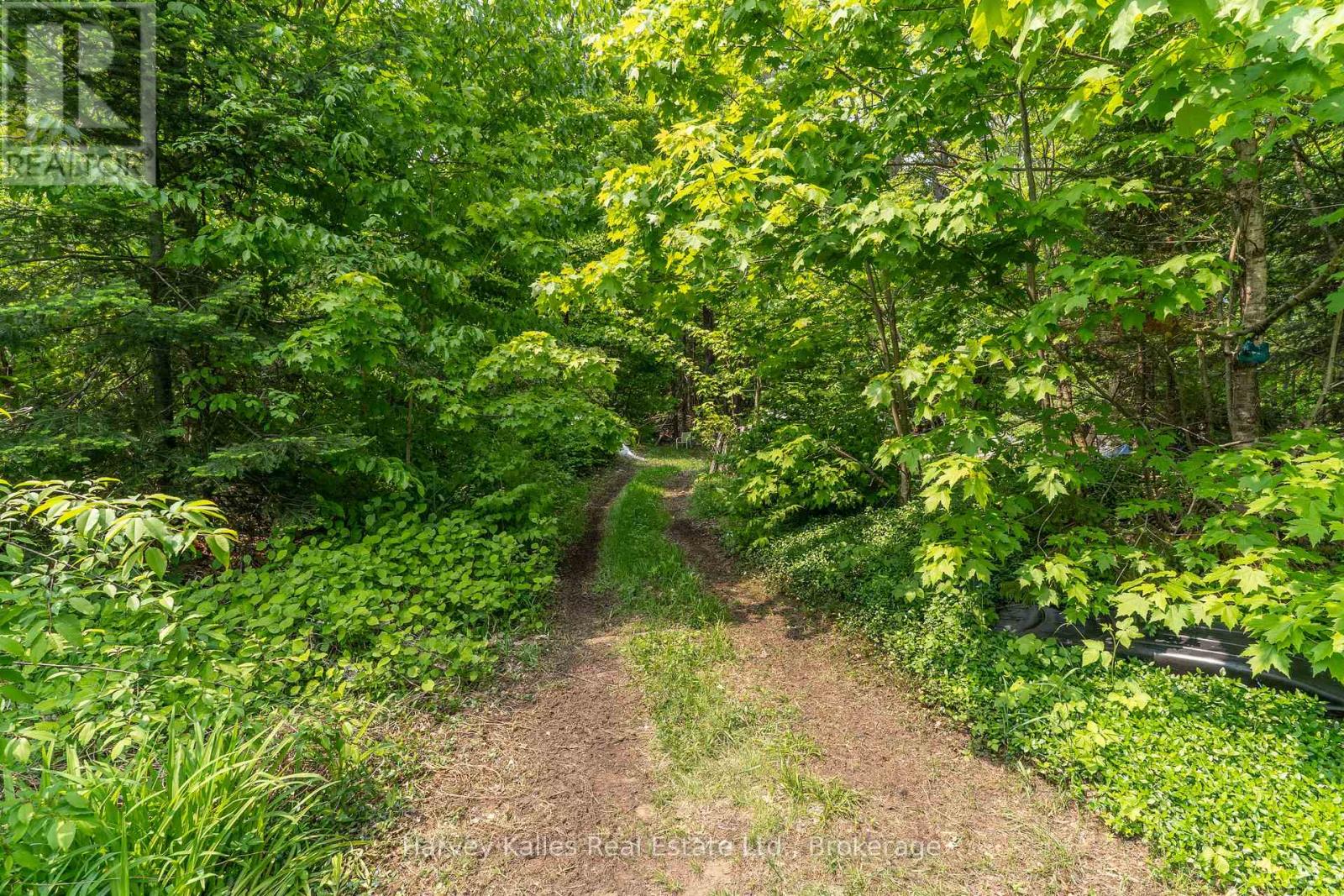 1099 Peterson Road, Bracebridge, Ontario  P1L 1X1 - Photo 29 - X12205588