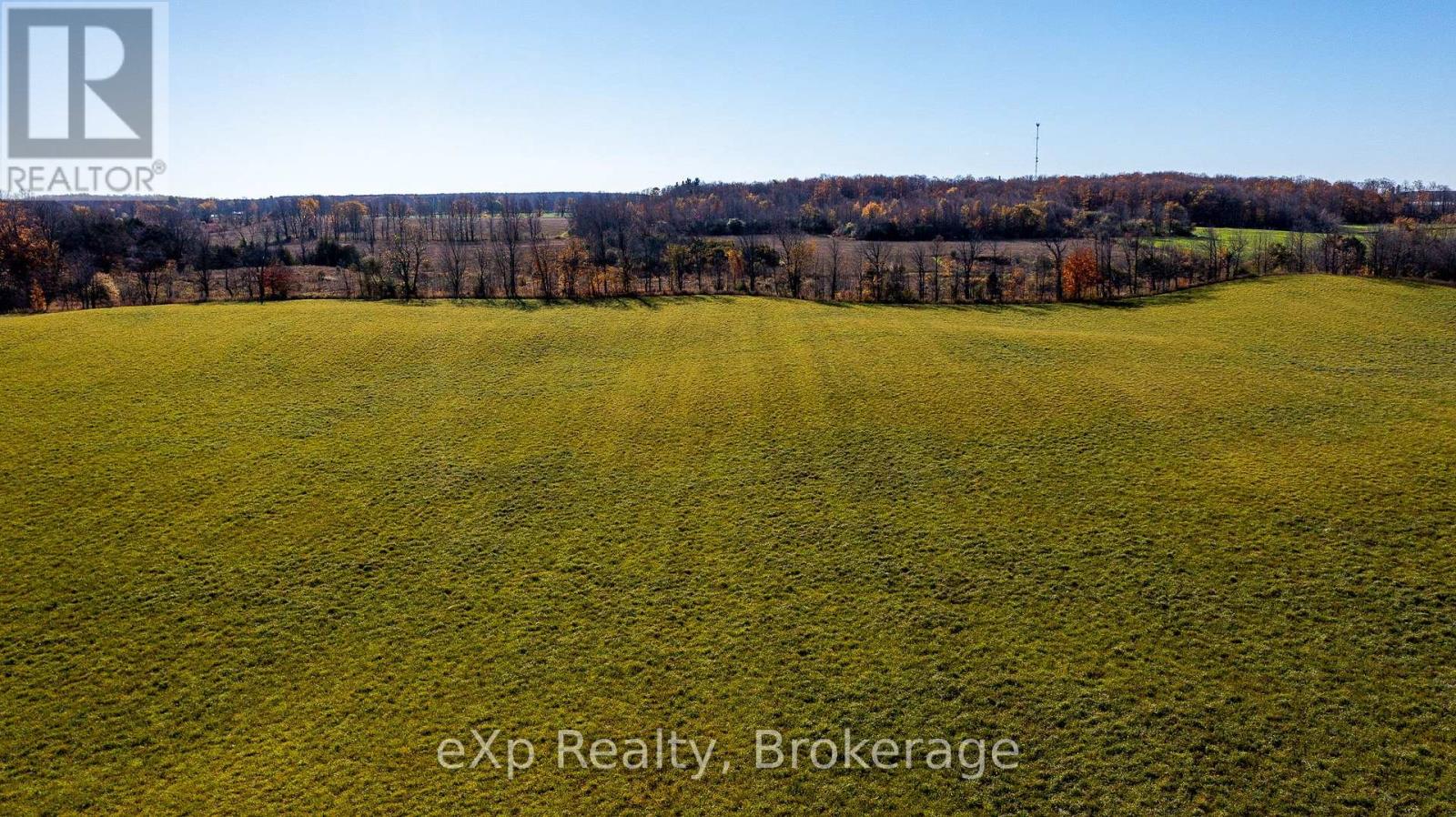 Pt Lt27 Grey Road 40, Grey Highlands, Ontario  N4L 1W6 - Photo 11 - X12487306