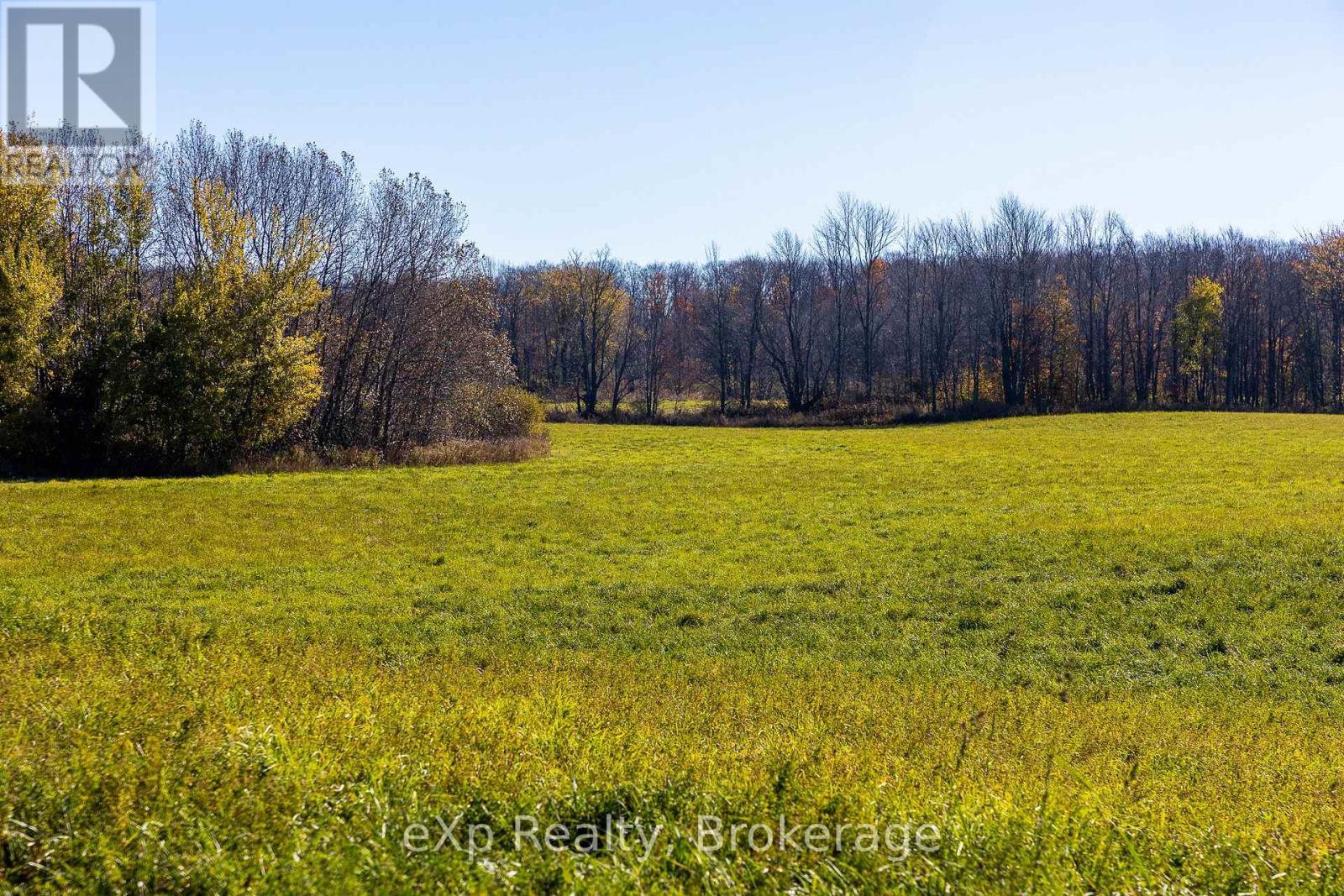 Pt Lt27 Grey Road 40, Grey Highlands, Ontario  N4L 1W6 - Photo 21 - X12487306