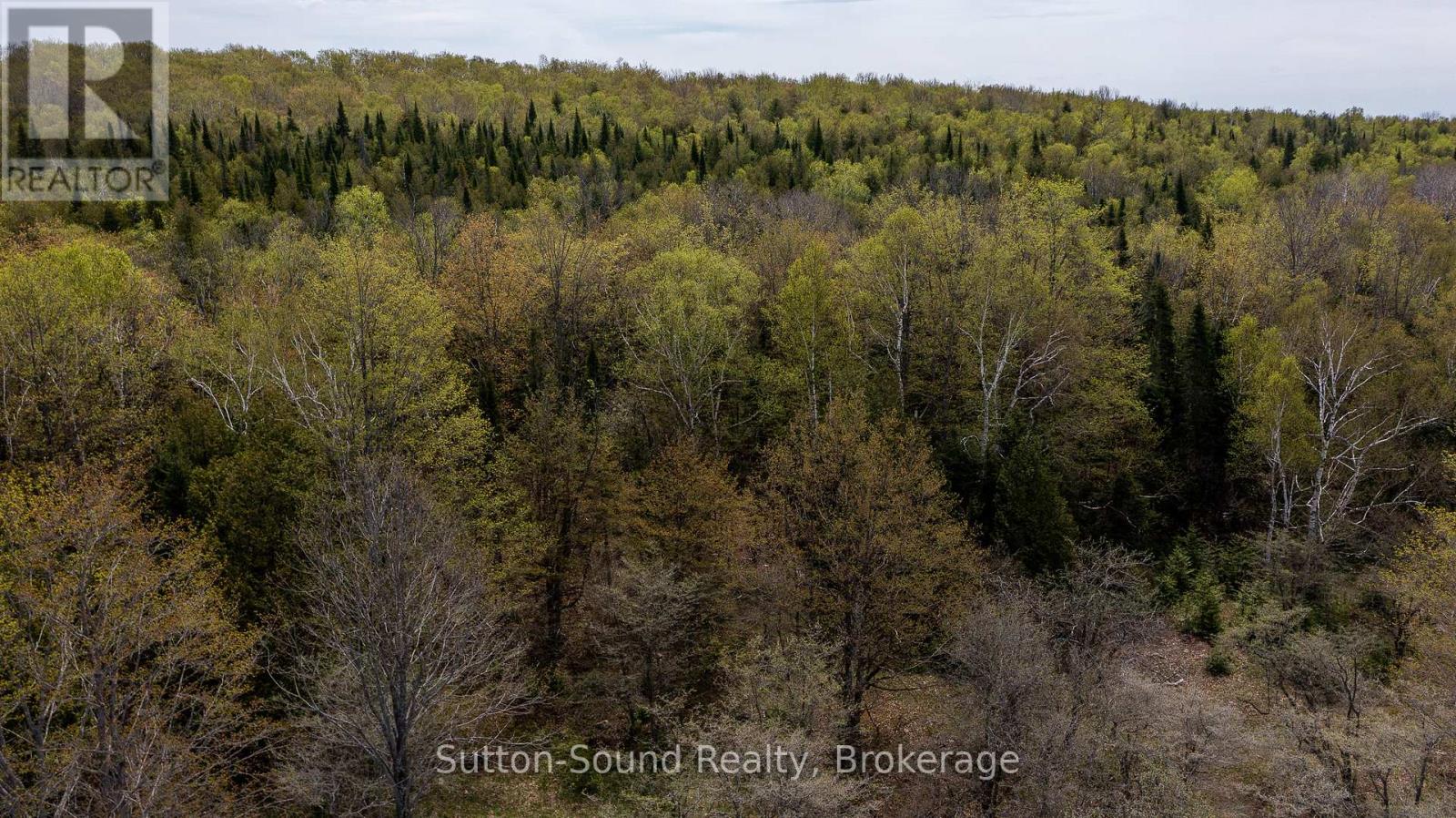 502054 Grey Rd 1 999 Road, Georgian Bluffs, Ontario  N0H 2T0 - Photo 4 - X12487378