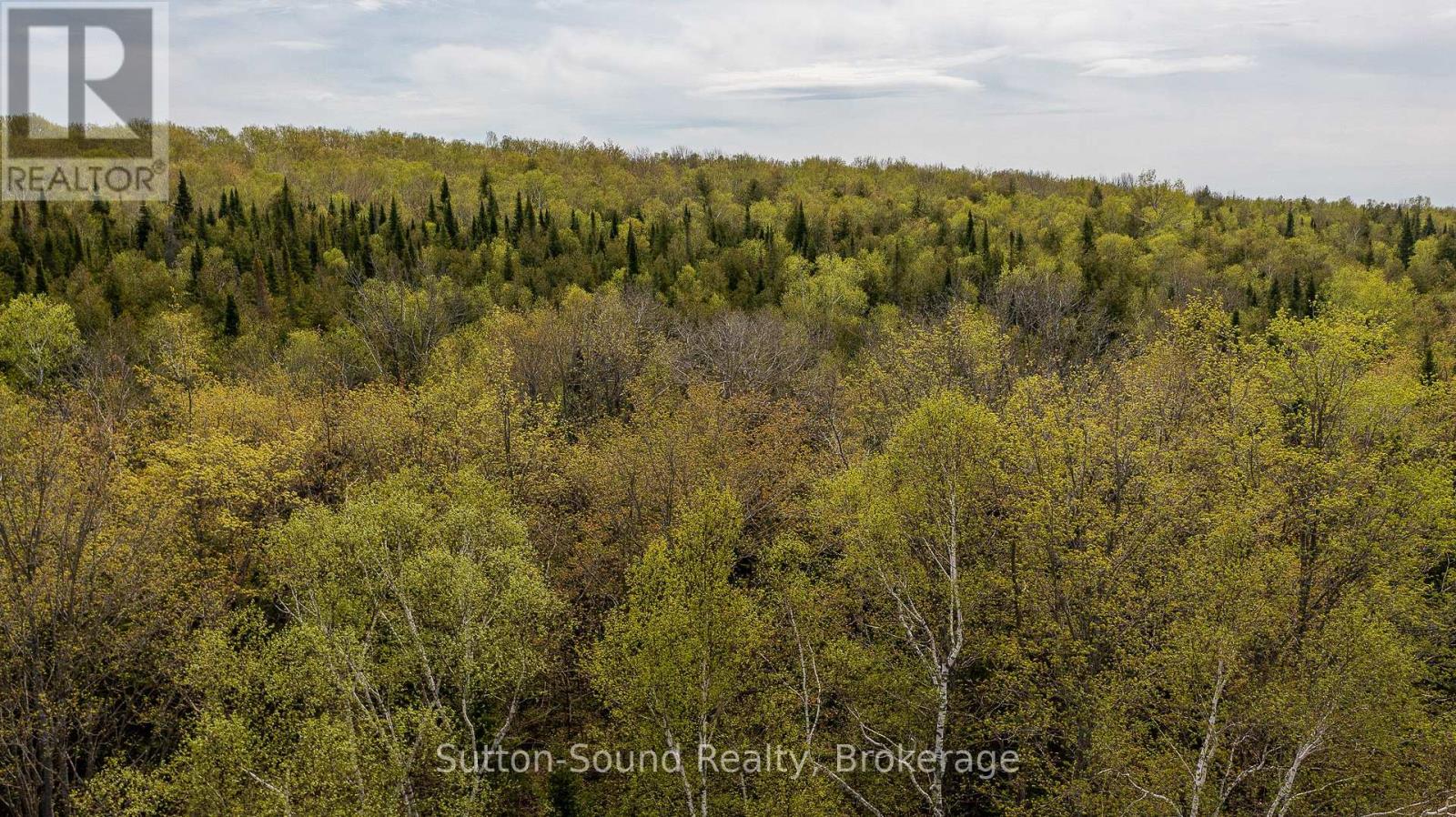 502054 Grey Rd 1 999 Road, Georgian Bluffs, Ontario  N0H 2T0 - Photo 5 - X12487378