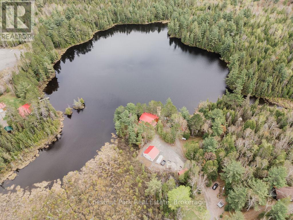 6131 Highway 11 Highway N, Temagami, Ontario  P0H 2H0 - Photo 6 - X12354903