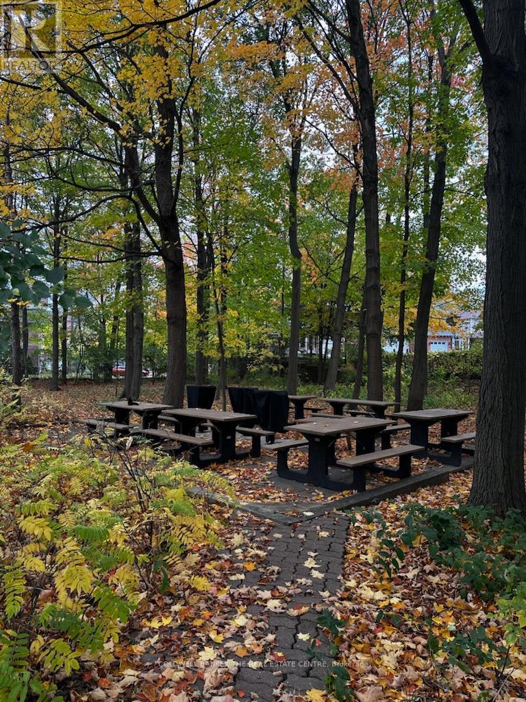 1211 - 121 Ling Road, Toronto (West Hill), Ontario  M1E 4Y2 - Photo 26 - E12487343