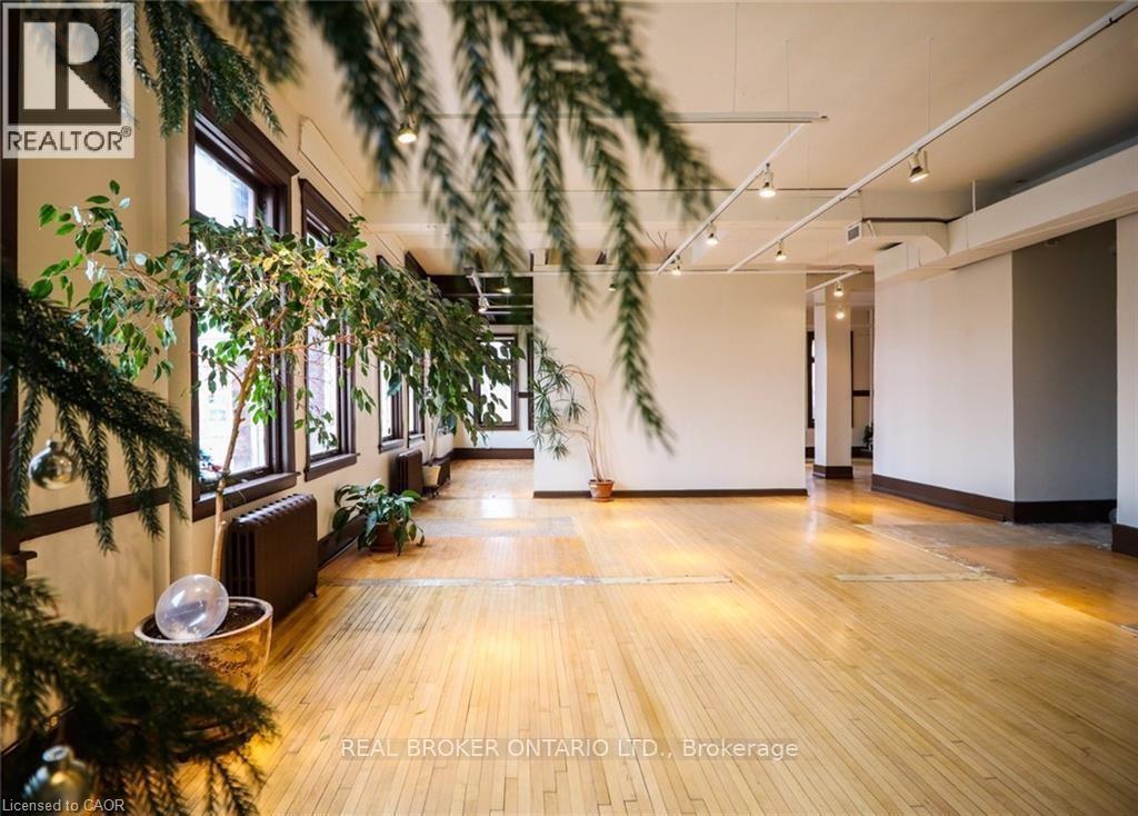 231 Bay Street N, Hamilton, Ontario  L8R 2R1 - Photo 7 - 40784011