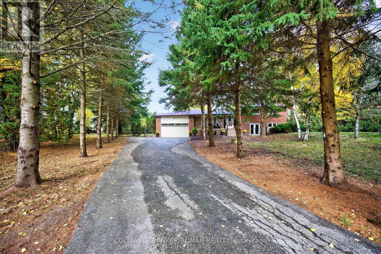 2738 Concession Rd 4, Adjala-Tosorontio, Ontario  L0G 1L0 - Photo 2 - N12487331