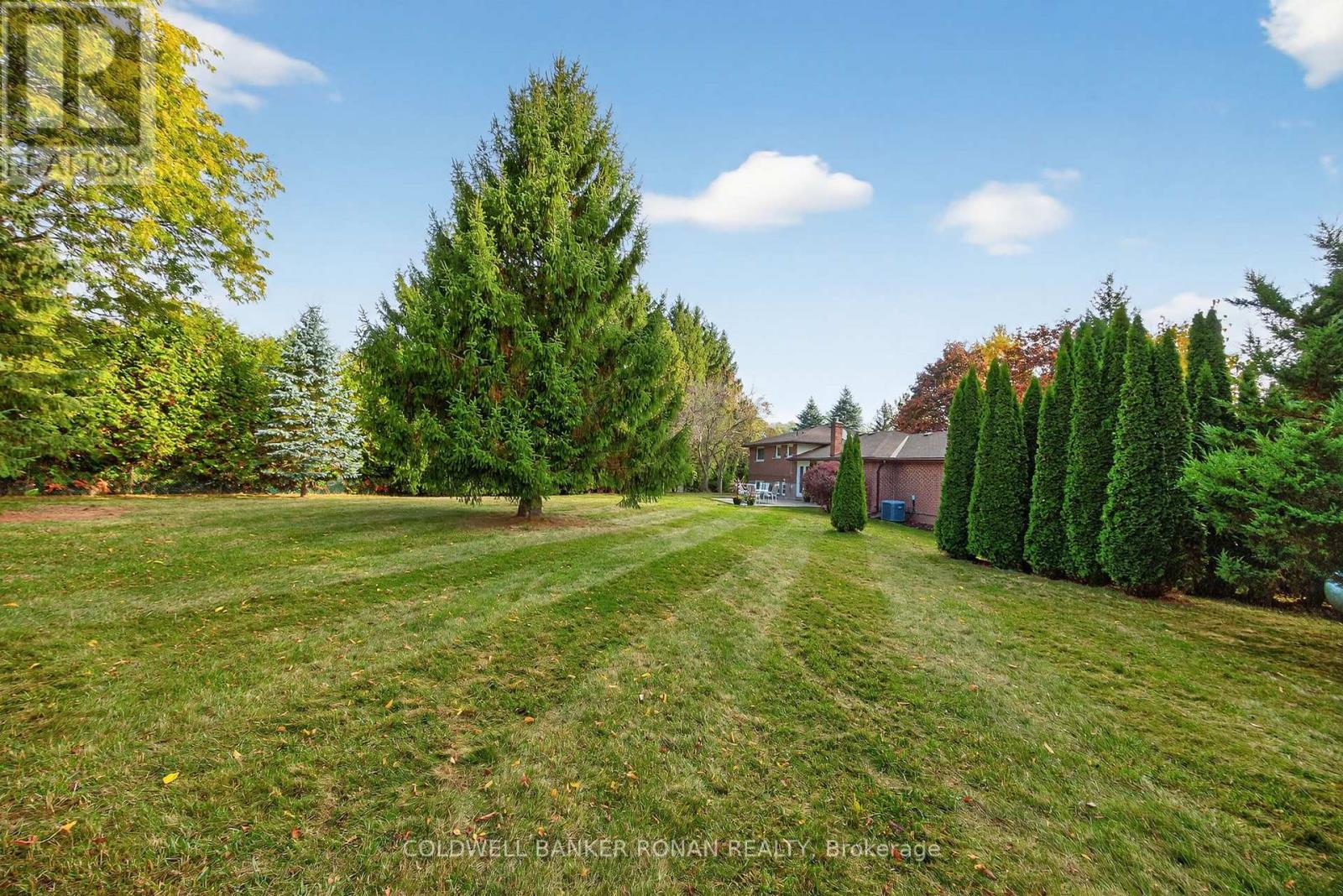 2738 Concession Rd 4, Adjala-Tosorontio, Ontario  L0G 1L0 - Photo 31 - N12487331