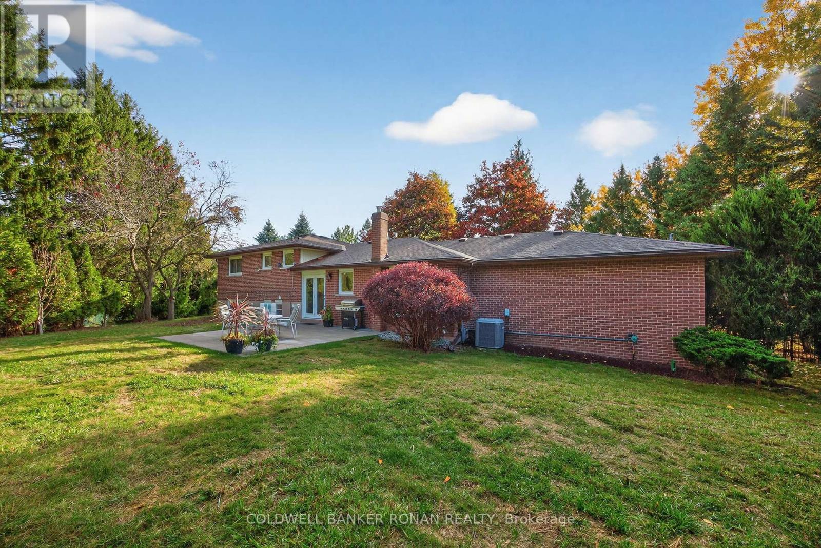 2738 Concession Rd 4, Adjala-Tosorontio, Ontario  L0G 1L0 - Photo 32 - N12487331