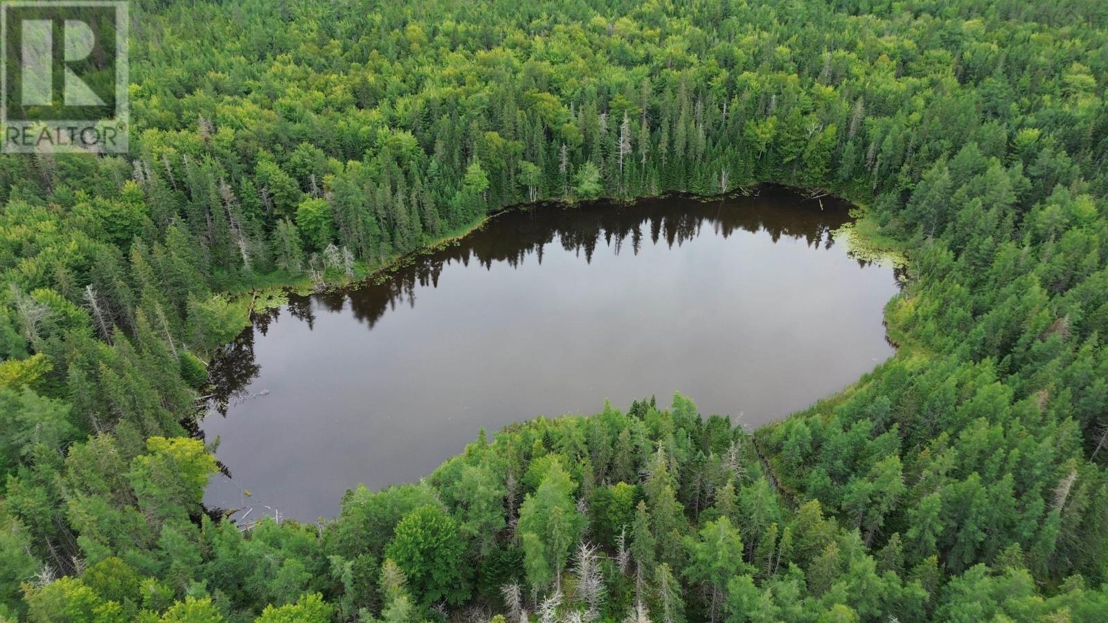 106 Dowling Road, West Bay Road, Nova Scotia  B0E 3L0 - Photo 21 - 202522198