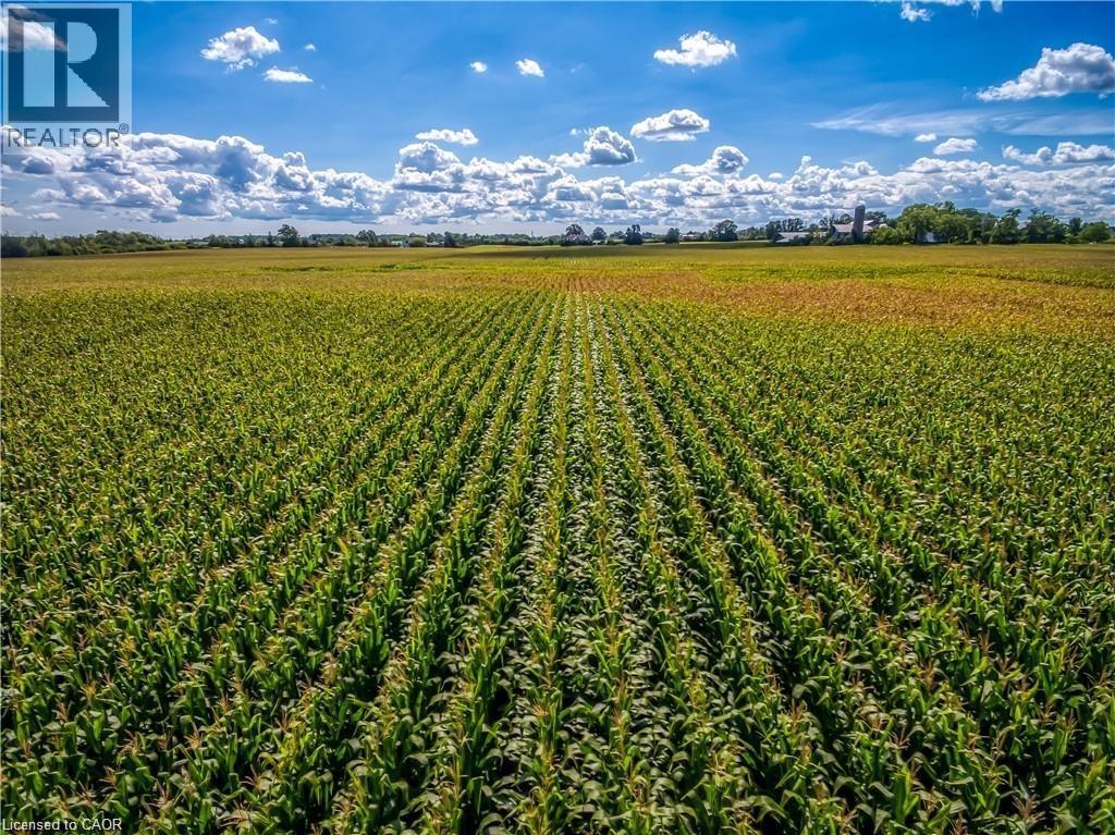 406 Tapleytown Road, Hamilton, Ontario  L8J 3K6 - Photo 11 - 40783987