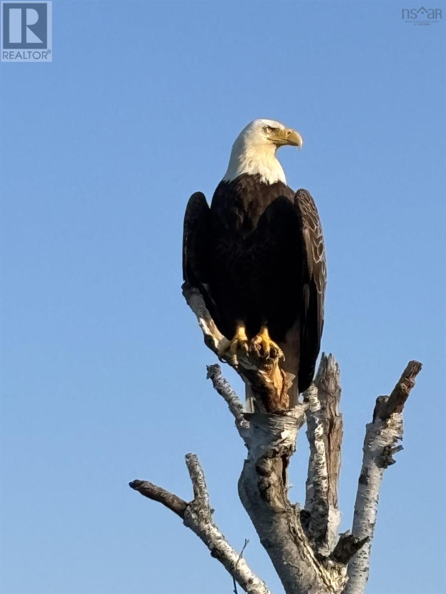 1280 Big Harbour Island Road, River Denys, Nova Scotia  B0E 2Y0 - Photo 47 - 202516660