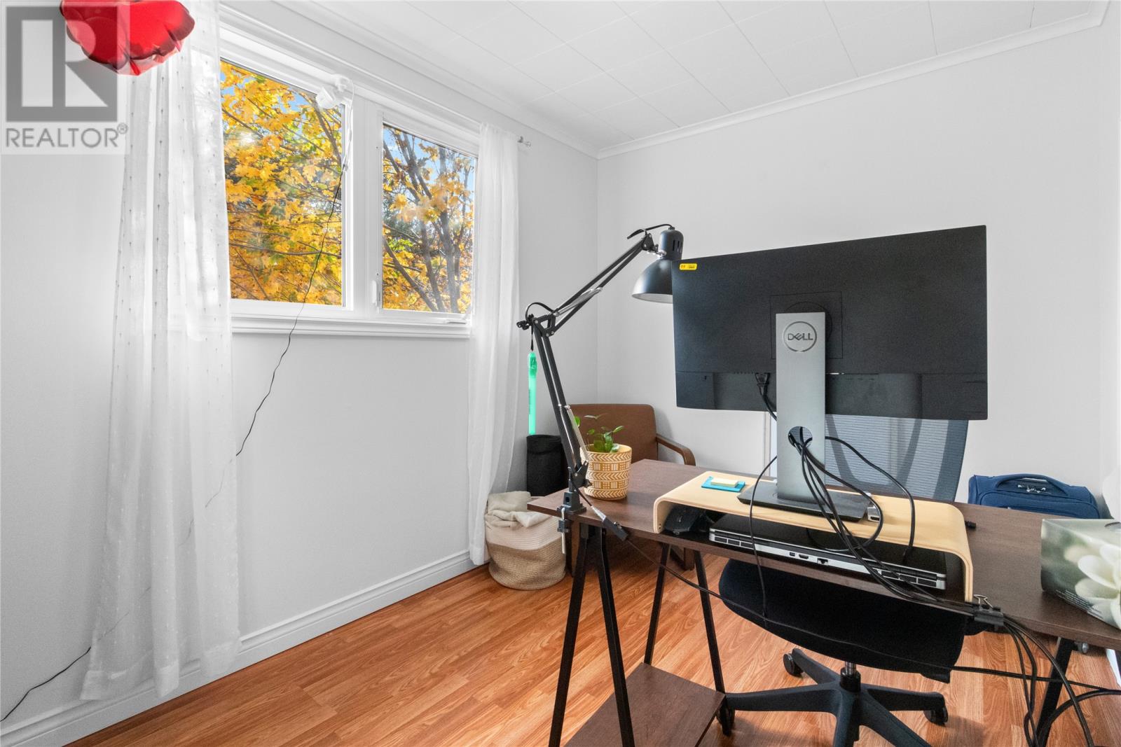 137 Campbell Avenue, St. John's, Newfoundland & Labrador  A1E 2Z7 - Photo 26 - 1292111