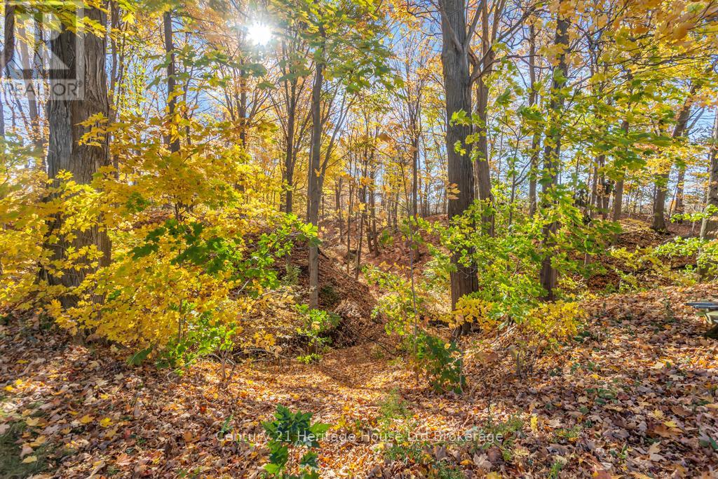 57225 Talbot Line, Bayham, Ontario  N4G 4G8 - Photo 24 - X12487512