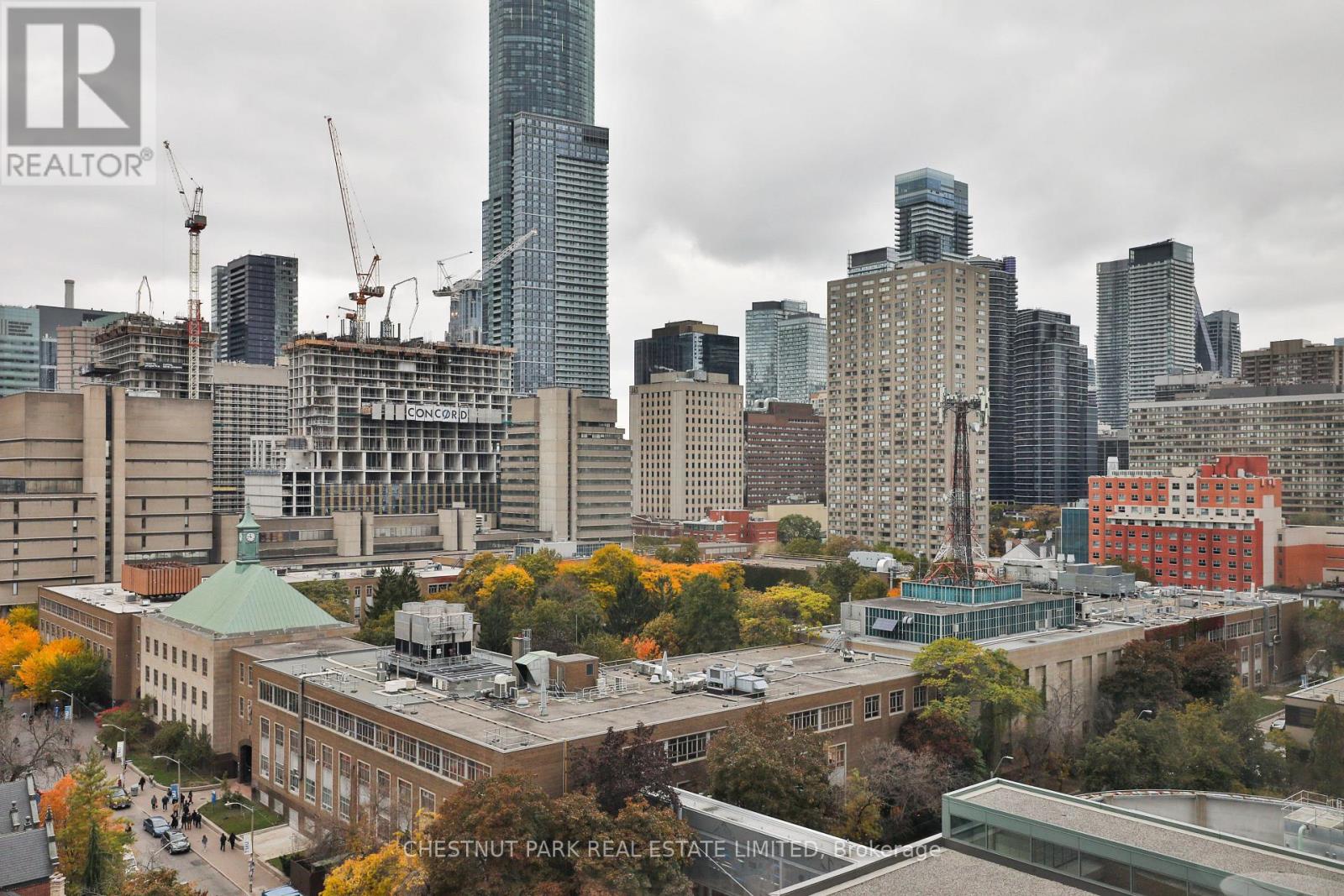 1013 - 155 Dalhousie Street, Toronto, Ontario  M5B 2P7 - Photo 33 - C12487440