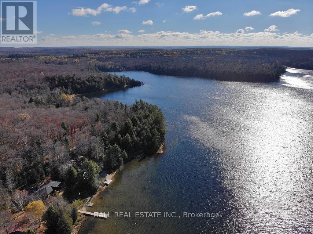 1030 Wapiti Cl Close, Highlands East (Cardiff Ward), Ontario  K0L 2A0 - Photo 8 - X12487605