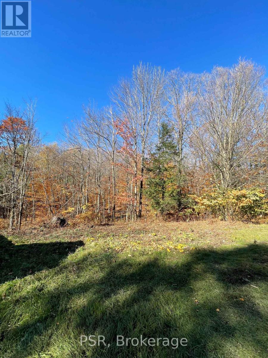 1094 Morinus Road, Muskoka Lakes, Ontario  P0B 1J0 - Photo 37 - X12487566