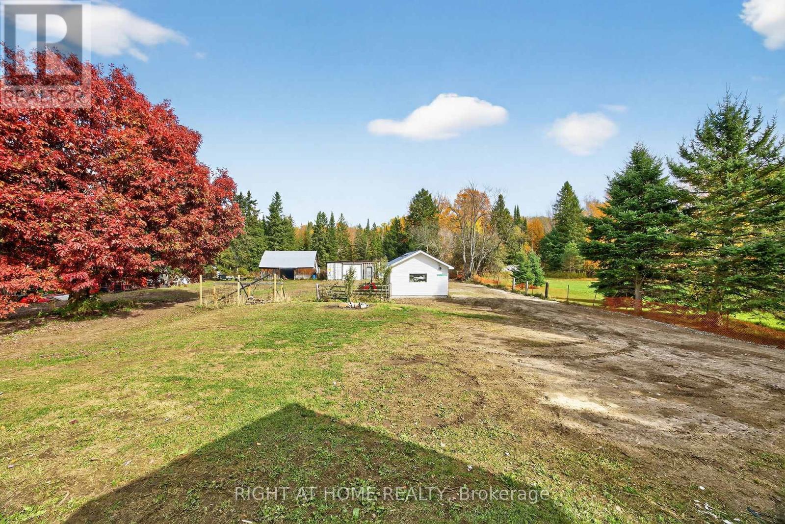 207 Scarlett Line, Oro-Medonte, Ontario  L0L 1V0 - Photo 35 - S12487447