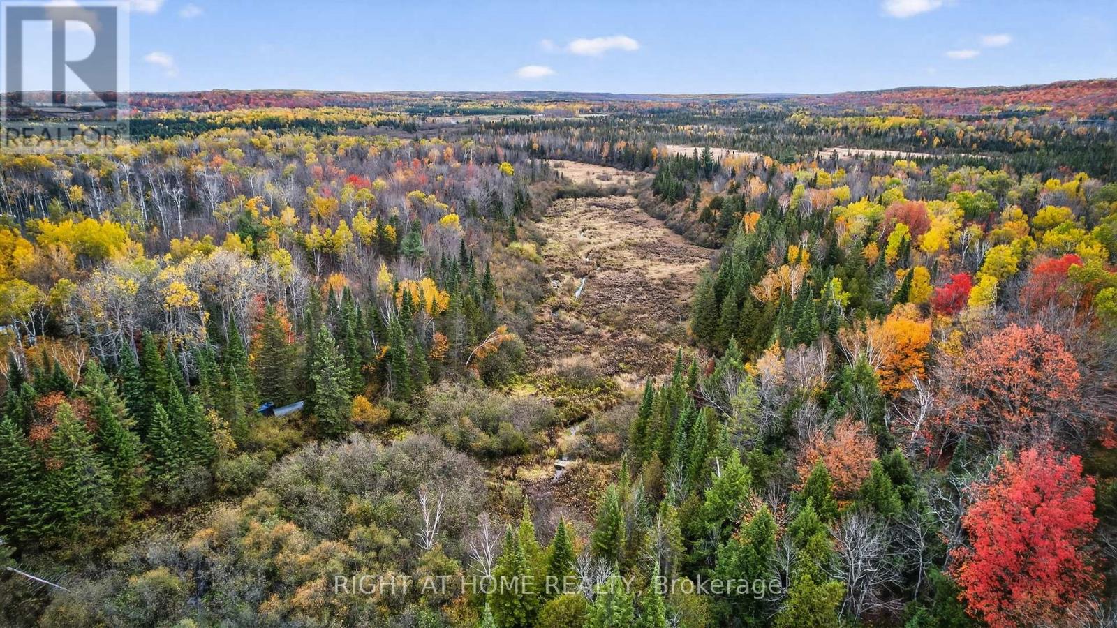 207 Scarlett Line, Oro-Medonte, Ontario  L0L 1V0 - Photo 49 - S12487447