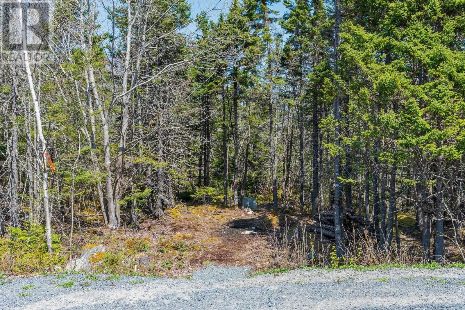 Scott's Point Road, Block A, East Dover, Nova Scotia  B3Z 3W2 - Photo 15 - 202511202
