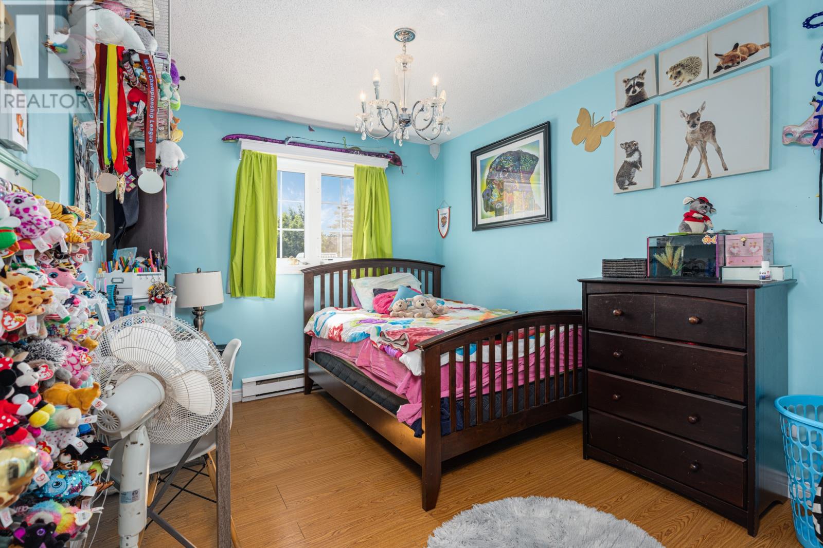 10 Sauve Street, Mount Peal, Newfoundland & Labrador  A1N 4A3 - Photo 10 - 1292081