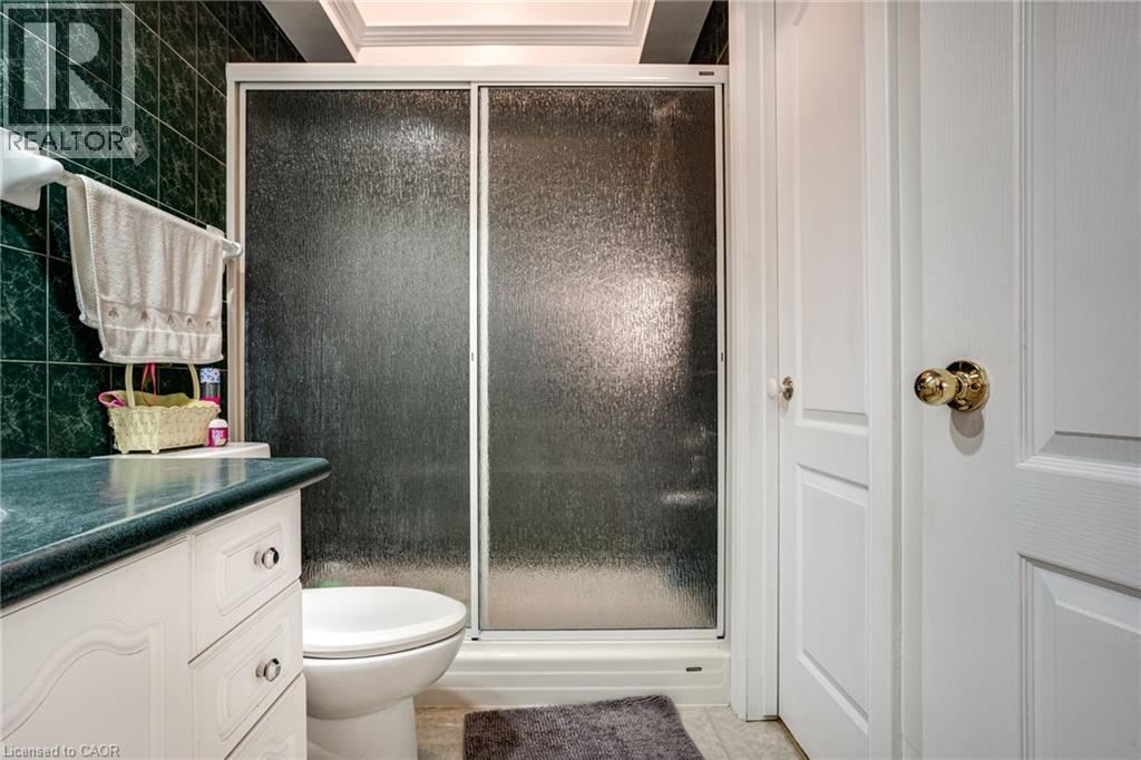 163 Book Road W, Ancaster, Ontario  L9G 3L1 - Photo 36 - 40781062