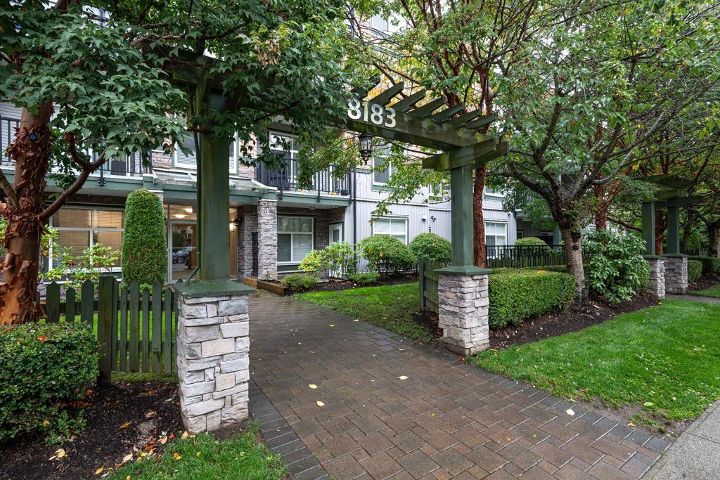 313 8183 121a Street, Surrey, British Columbia  V3W 1S7 - Photo 3 - R3062679