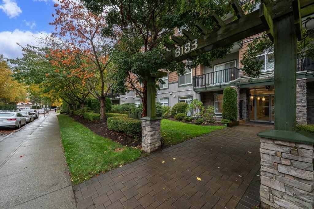 313 8183 121a Street, Surrey, British Columbia  V3W 1S7 - Photo 34 - R3062679