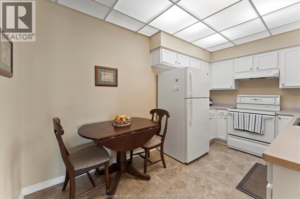 315 Village Grove Unit# 203, Tecumseh, Ontario  N8N 5G4 - Photo 13 - 25027467