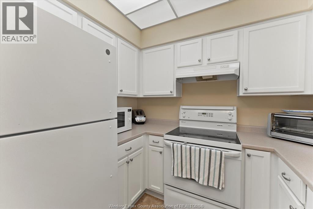 315 Village Grove Unit# 203, Tecumseh, Ontario  N8N 5G4 - Photo 17 - 25027467