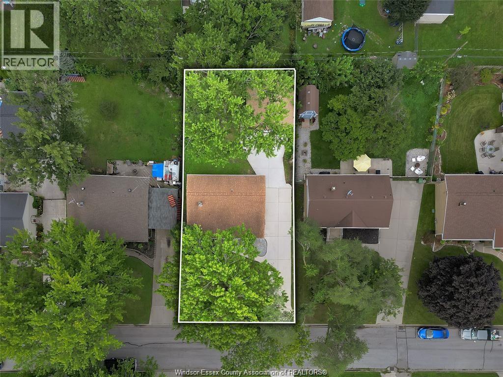 3532 Virginia Park, Windsor, Ontario  N9E 2C5 - Photo 3 - 25027434