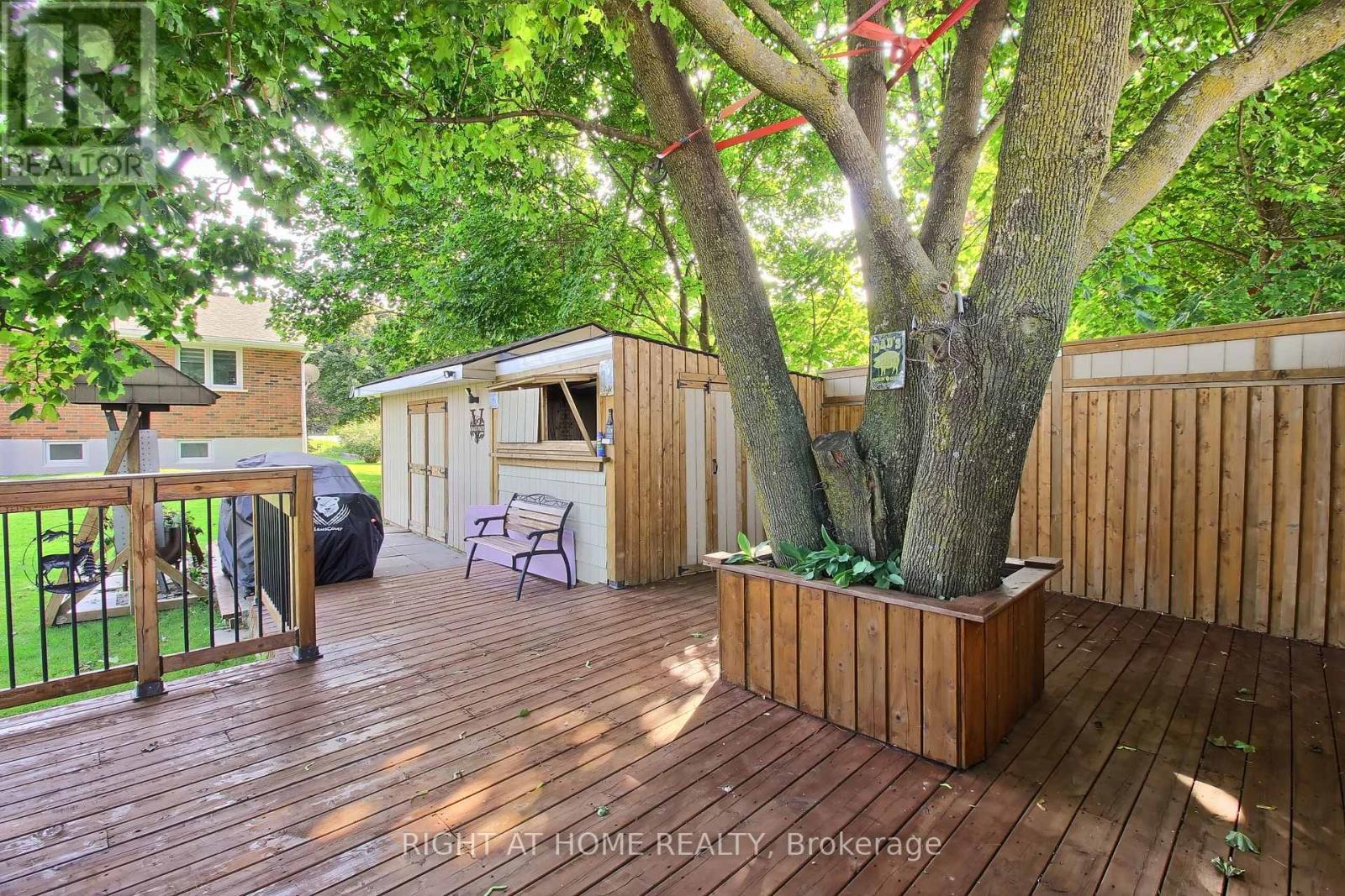 3800 County 88 Road, Bradford West Gwillimbury, Ontario  L3Z 3K7 - Photo 35 - N12487489