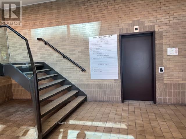 202 - 1 Nelson Street W, Brampton, Ontario  L6X 3E4 - Photo 3 - W12487490