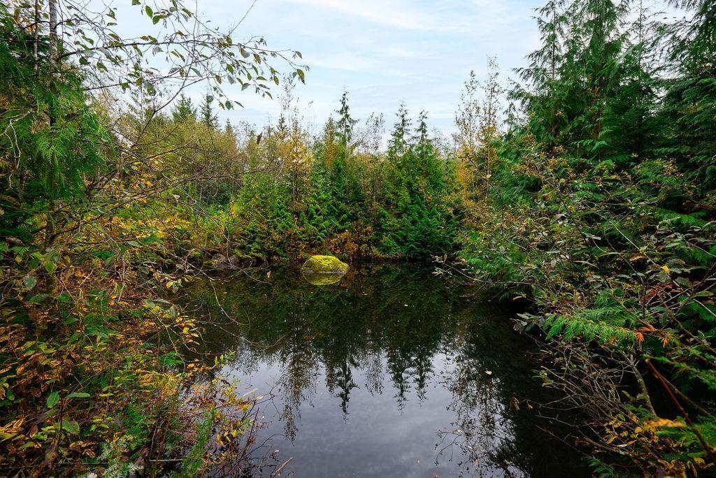 12930 Sabo Street, Mission, British Columbia  V4S 1L6 - Photo 26 - R3062898