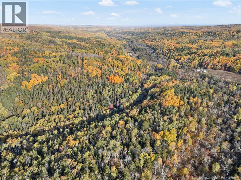 45 Prosser Brook Road, Rosevale, New Brunswick  E4H 1A4 - Photo 13 - NB128543