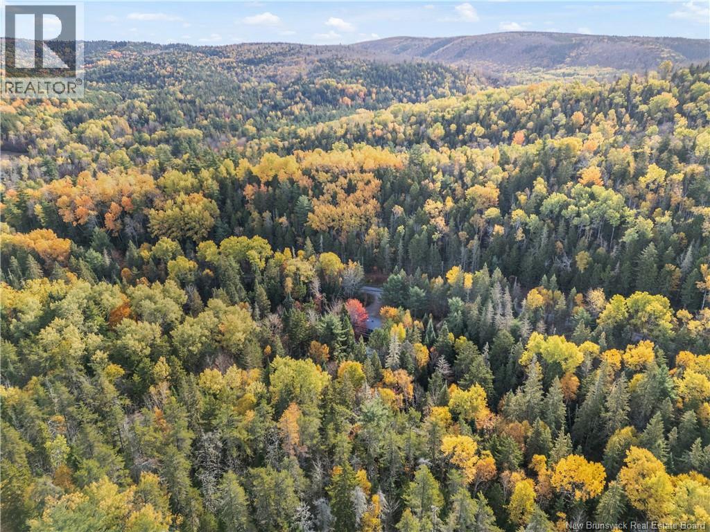 45 Prosser Brook Road, Rosevale, New Brunswick  E4H 1A4 - Photo 12 - NB128543