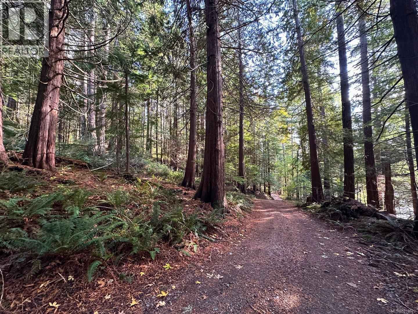 525 Whaletown Rd, Cortes Island, British Columbia  V0P 1Z0 - Photo 8 - 1018529