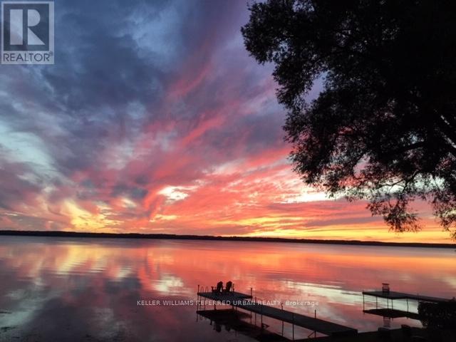 259 Pleasant Boulevard, Georgina, Ontario  L4P 2S7 - Photo 45 - N12487713