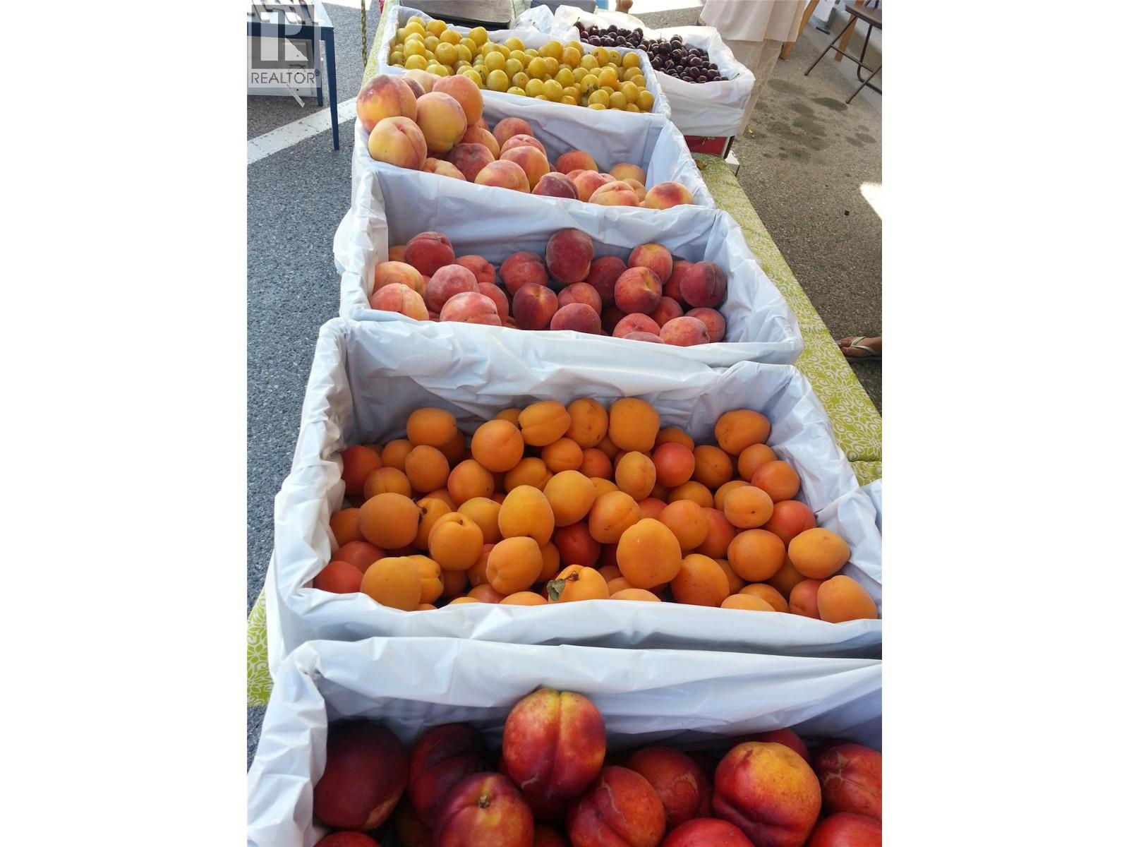 95 Winnipeg Street Unit# 106, Penticton, British Columbia  V2A 5L9 - Photo 15 - 10366870